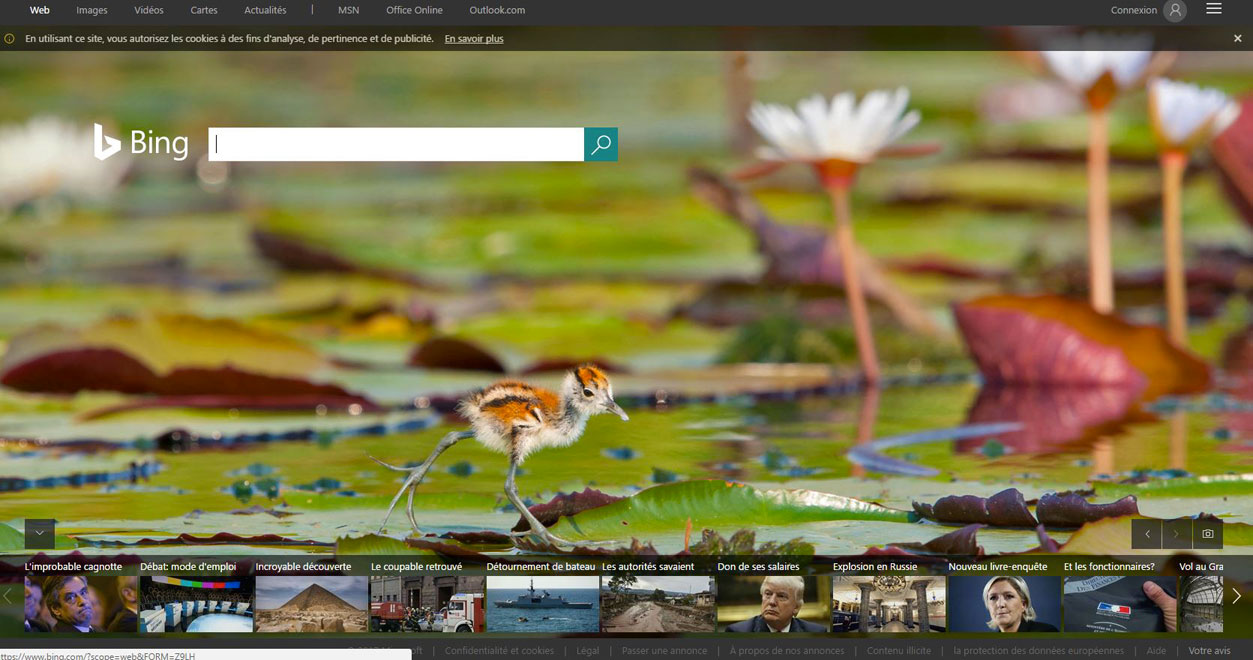 Bing