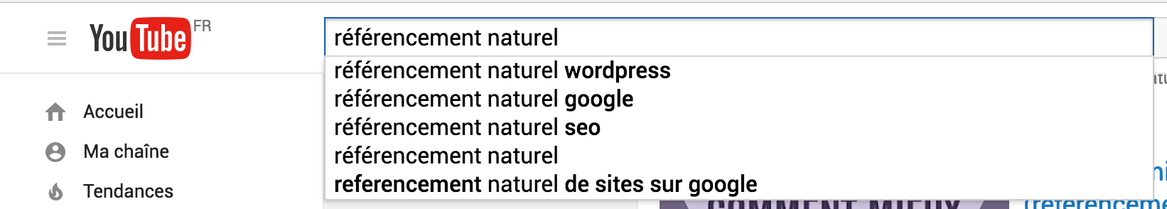 suggestions de recherche youtube
